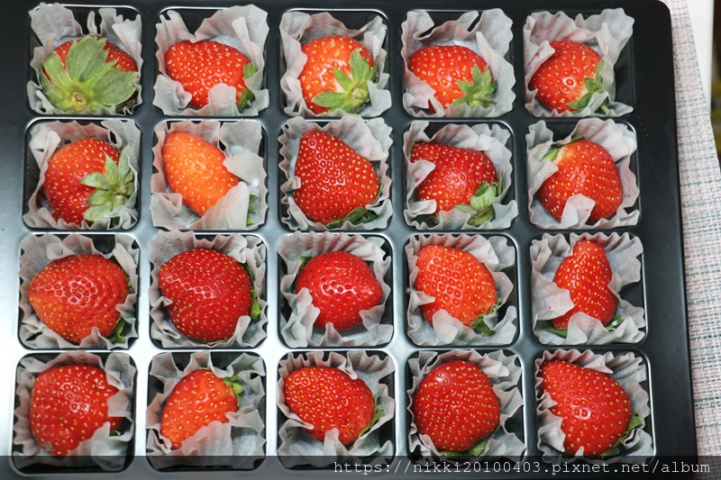 吉菓ichico (13).JPG