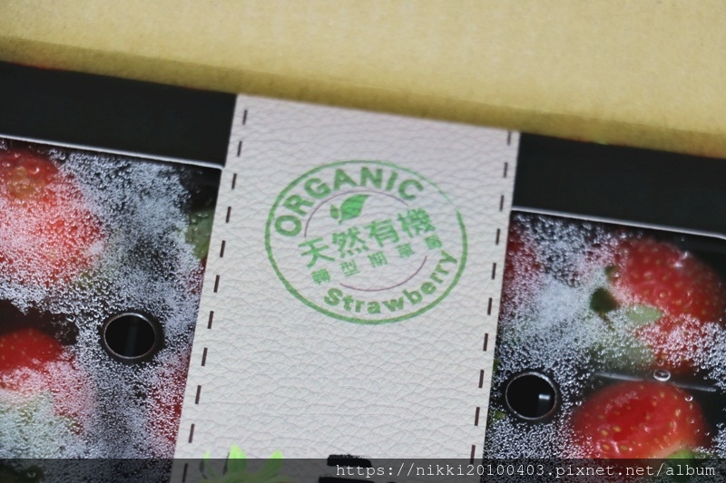 吉菓ichico (8).JPG