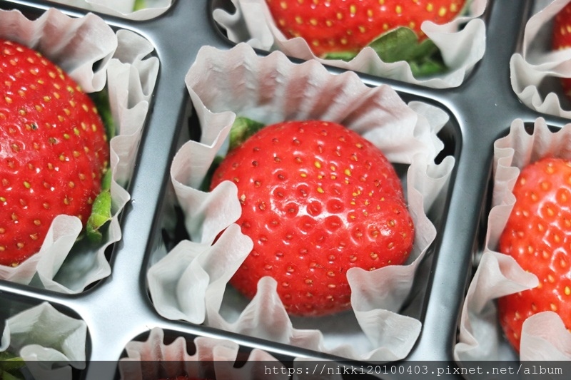 吉菓ichico (14).JPG