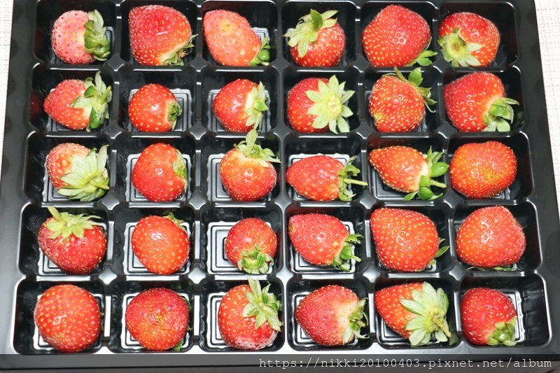 吉菓ichico (19).JPG