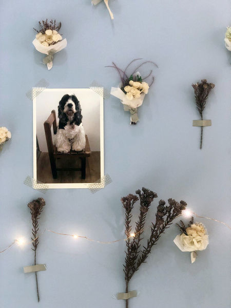 台北大安 Space Skin Care 綿羊膠原 男女護膚SPA 臉部SPA 皮膚管理 醫美等級保養課程