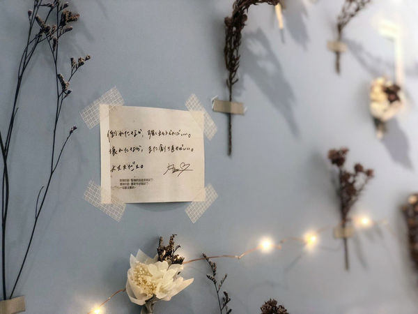 台北大安 Space Skin Care 綿羊膠原 男女護膚SPA 臉部SPA 皮膚管理 醫美等級保養課程