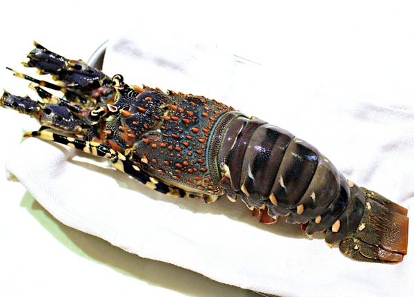 cm20190205___c25cef2a97e4d23ce89e51802b9