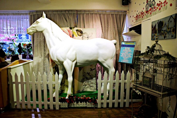 cm20190205___88289d197082fed684537516595