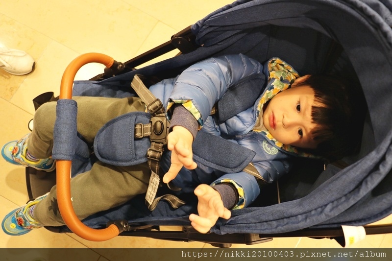 baby fly 拉桿式輕便推車 (45).JPG