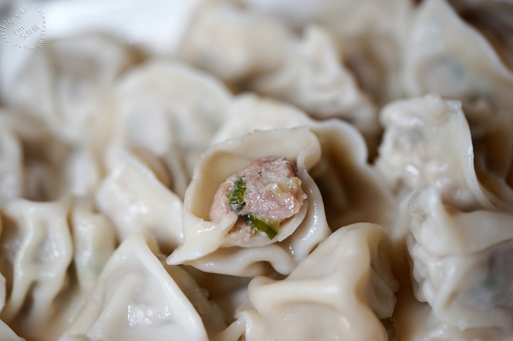 宅配冷凍水餃 大帥水餃 (23)