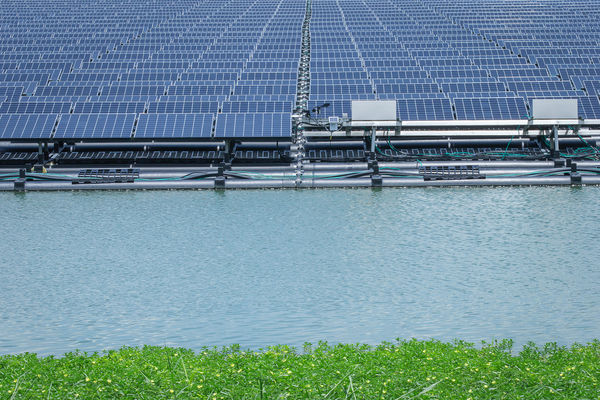 46418084594_ef2b936b54_b