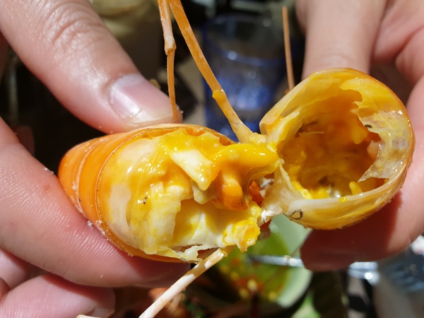 湄南河泰式庭園餐廳： 【台中南屯】湄南河泰式庭園餐廳 泰式料理 泰服試穿