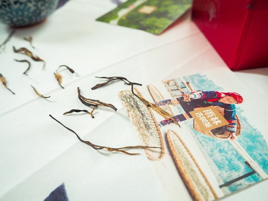 大花說雨林古樹茶晁鎮茶苑茶葉禮品百年古樹茶送禮推薦12