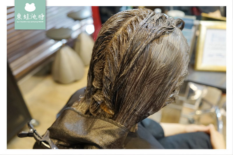 【台北東區髮廊剪染護髮推薦】OLAPLEX 摩洛哥護髮療程 資生堂染劑 H COLOR 近忠孝復興站