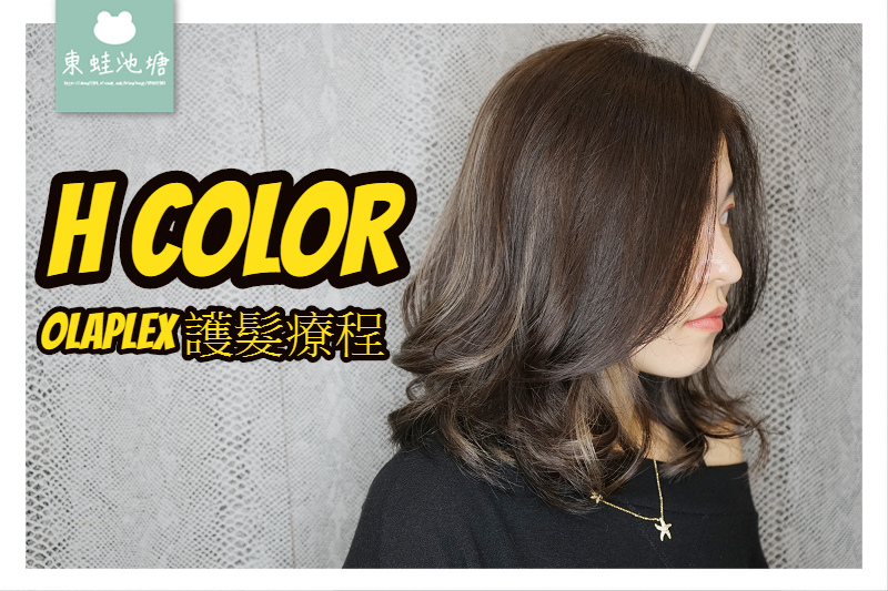 【台北東區髮廊剪染護髮推薦】OLAPLEX 摩洛哥護髮療程 資生堂染劑 H COLOR 近忠孝復興站
