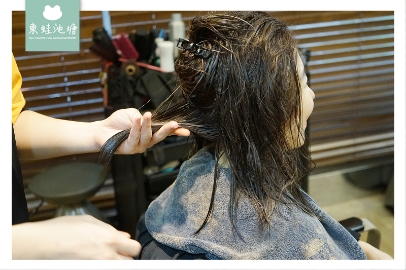 【台北東區髮廊剪染護髮推薦】OLAPLEX 摩洛哥護髮療程 資生堂染劑 H COLOR 近忠孝復興站