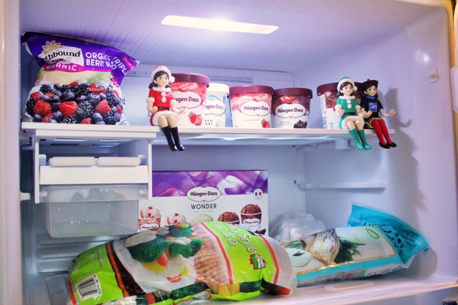 TOSHIBA 雙門冰箱 GR-AG66T(X)