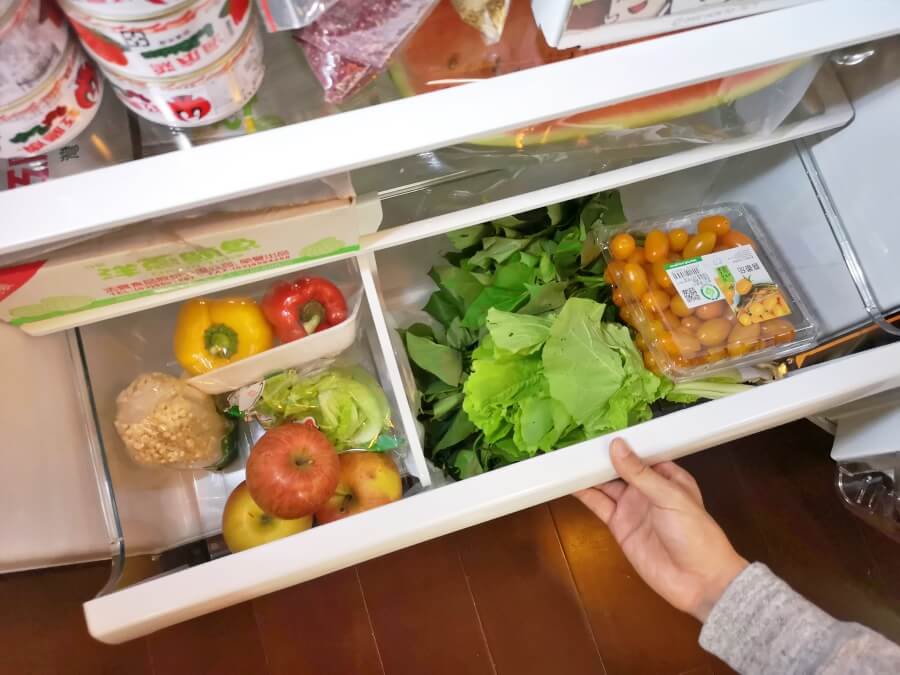 TOSHIBA 省電冰箱推薦