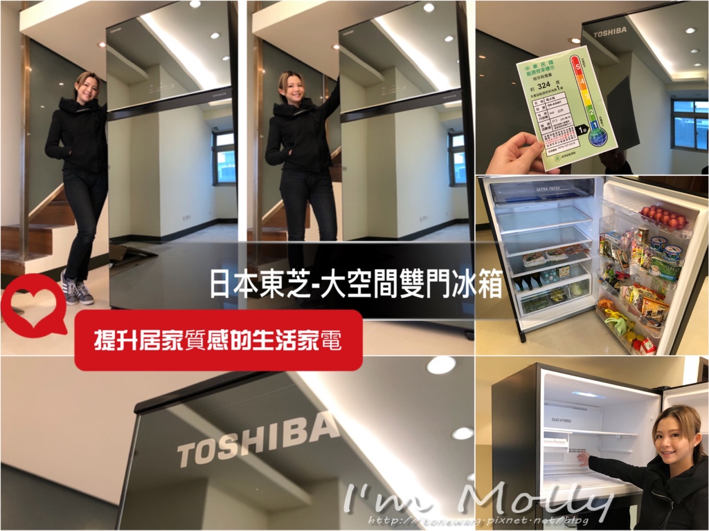 雙門冰箱／大空間大容量／快速冷凍／日本東芝Toshiba-1.JPG
