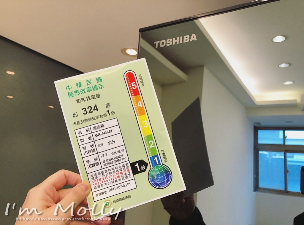 雙門冰箱／大空間大容量／快速冷凍／日本東芝Toshiba-7.JPG