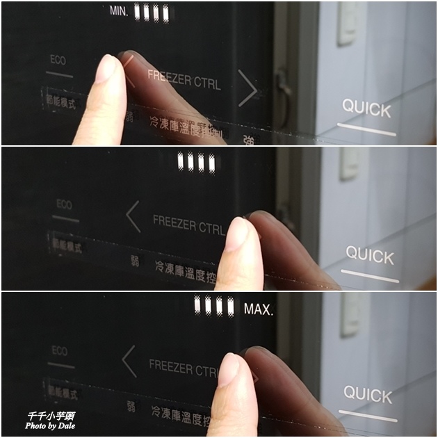 日本東芝TOSHIBA雙門大容量冰箱60