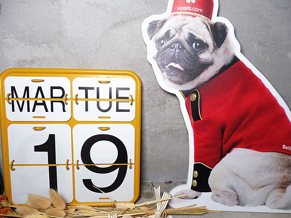 O.L.O CAFE：「台北松山」【O.L.O CAFÉ】亞洲唯一HOTELS.COM聯名主題咖啡館！處處都可見到萌萌可愛的禮賓大使身影，舒適自在的用餐環境，享受一期一會新鮮直送食材的美味餐點，寧靜的品味生活中令人微笑的幸福時刻！ ＃松山下午茶 ＃輕食咖啡 ＃Hotels.com聯名