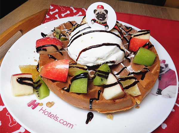 O.L.O CAFE：「台北松山」【O.L.O CAFÉ】亞洲唯一HOTELS.COM聯名主題咖啡館！處處都可見到萌萌可愛的禮賓大使身影，舒適自在的用餐環境，享受一期一會新鮮直送食材的美味餐點，寧靜的品味生活中令人微笑的幸福時刻！ ＃松山下午茶 ＃輕食咖啡 ＃Hotels.com聯名