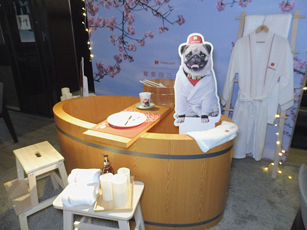 O.L.O CAFE：「台北松山」【O.L.O CAFÉ】亞洲唯一HOTELS.COM聯名主題咖啡館！處處都可見到萌萌可愛的禮賓大使身影，舒適自在的用餐環境，享受一期一會新鮮直送食材的美味餐點，寧靜的品味生活中令人微笑的幸福時刻！ ＃松山下午茶 ＃輕食咖啡 ＃Hotels.com聯名