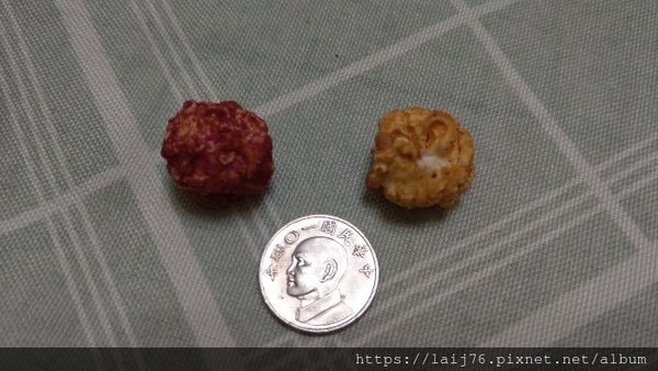 MagiPlanet星球工坊爆米花 (18).jpg