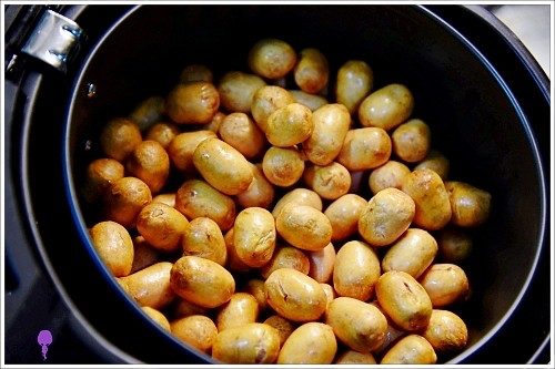 batch_batch__DSC7423