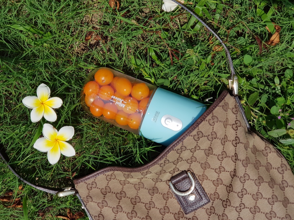 九陽JYL-C902D 隨行電動果汁機 (0).jpg