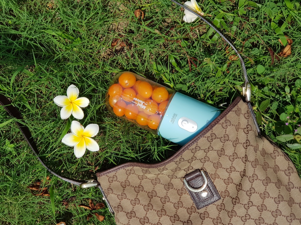 九陽JYL-C902D 隨行電動果汁機 (47).jpg