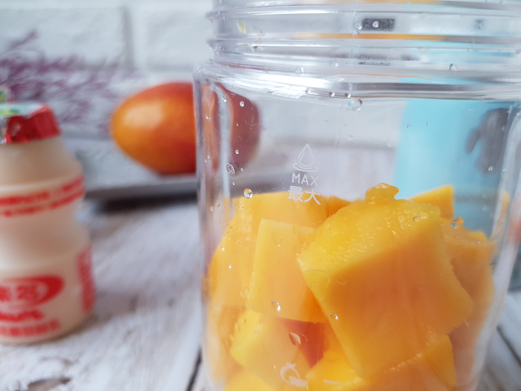 九陽JYL-C902D 隨行電動果汁機 (23).jpg