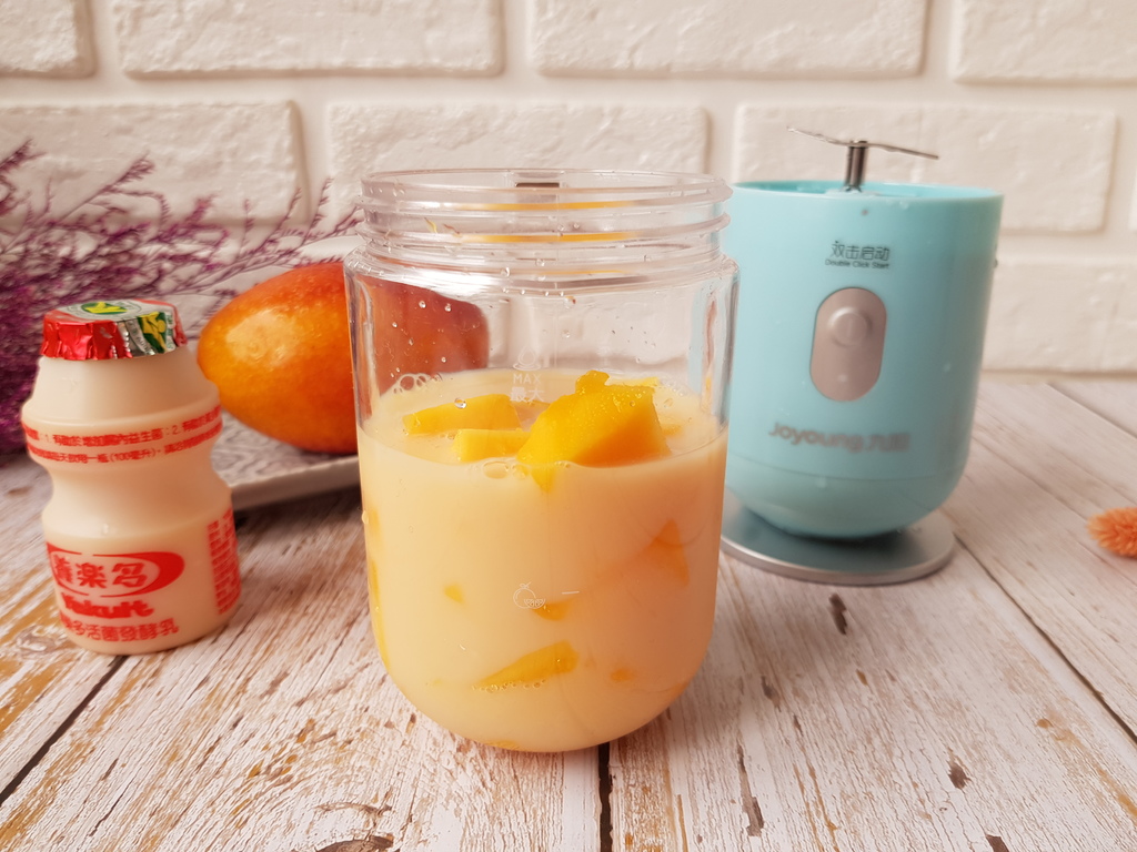 九陽JYL-C902D 隨行電動果汁機 (25).jpg