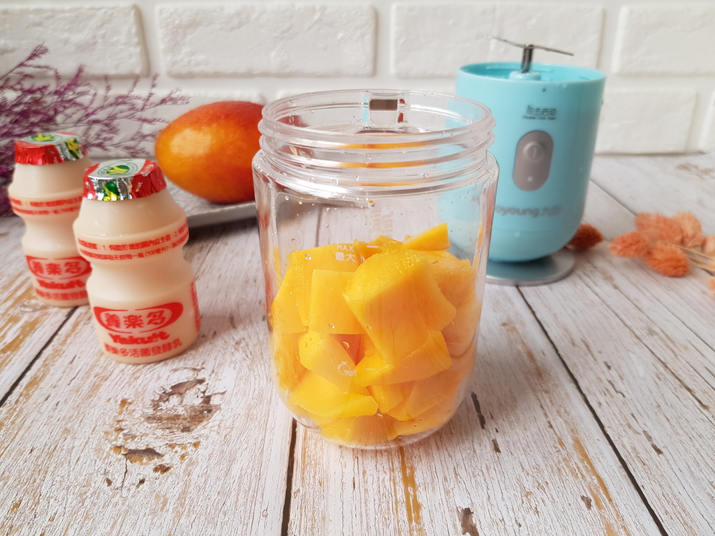 九陽JYL-C902D 隨行電動果汁機 (22).jpg