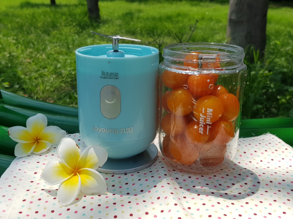 九陽JYL-C902D 隨行電動果汁機 (49).jpg