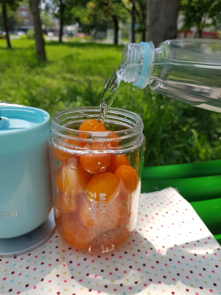 九陽JYL-C902D 隨行電動果汁機 (50).jpg