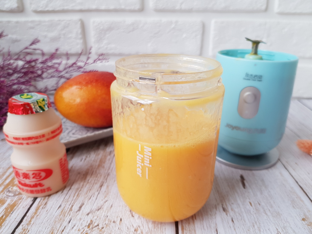 九陽JYL-C902D 隨行電動果汁機 (32).jpg