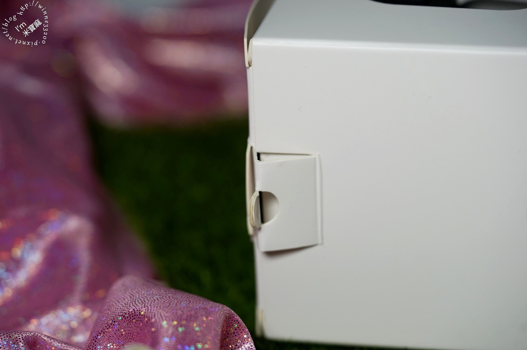 Glasstic 玻璃水瓶 泡茶杯 (4)