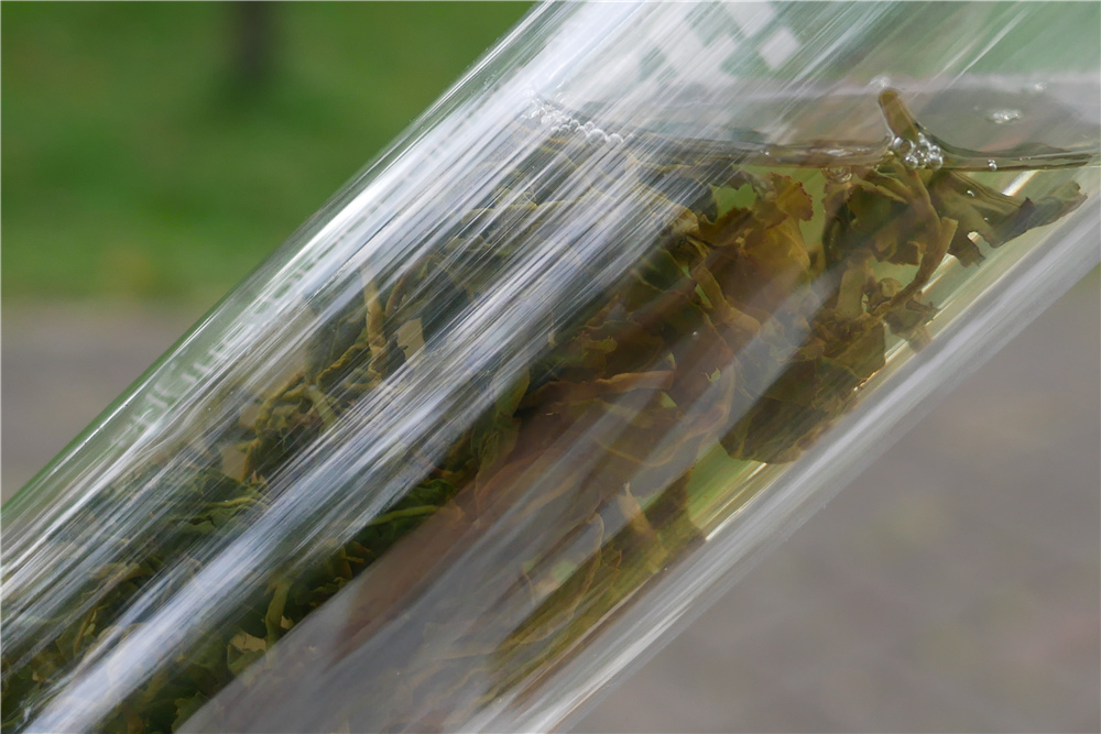 Glasstic 安全防護玻璃水瓶