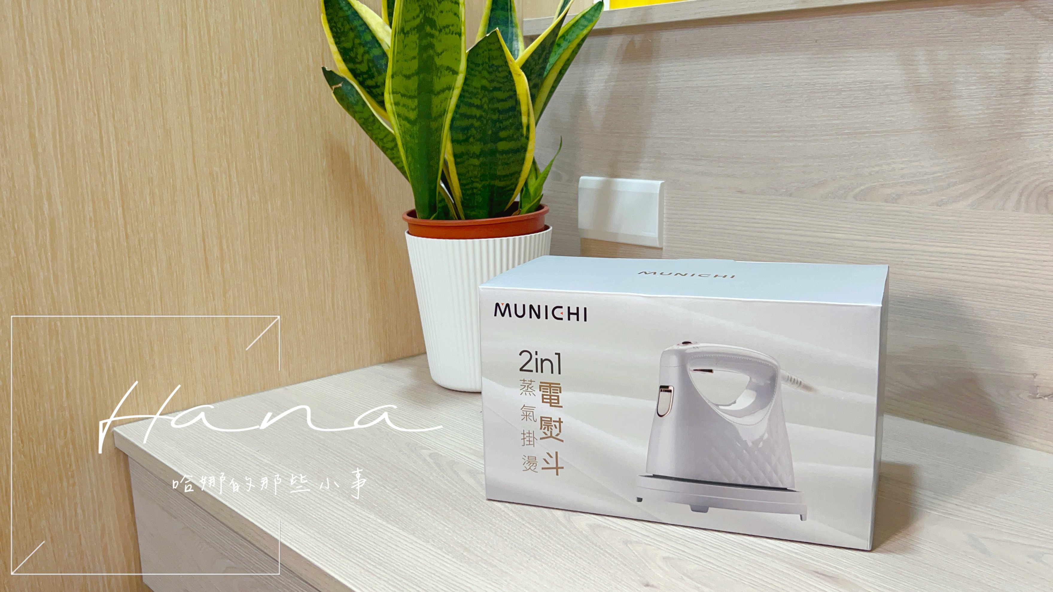 MSI-PQQ7 2 in1 蒸氣電熨斗