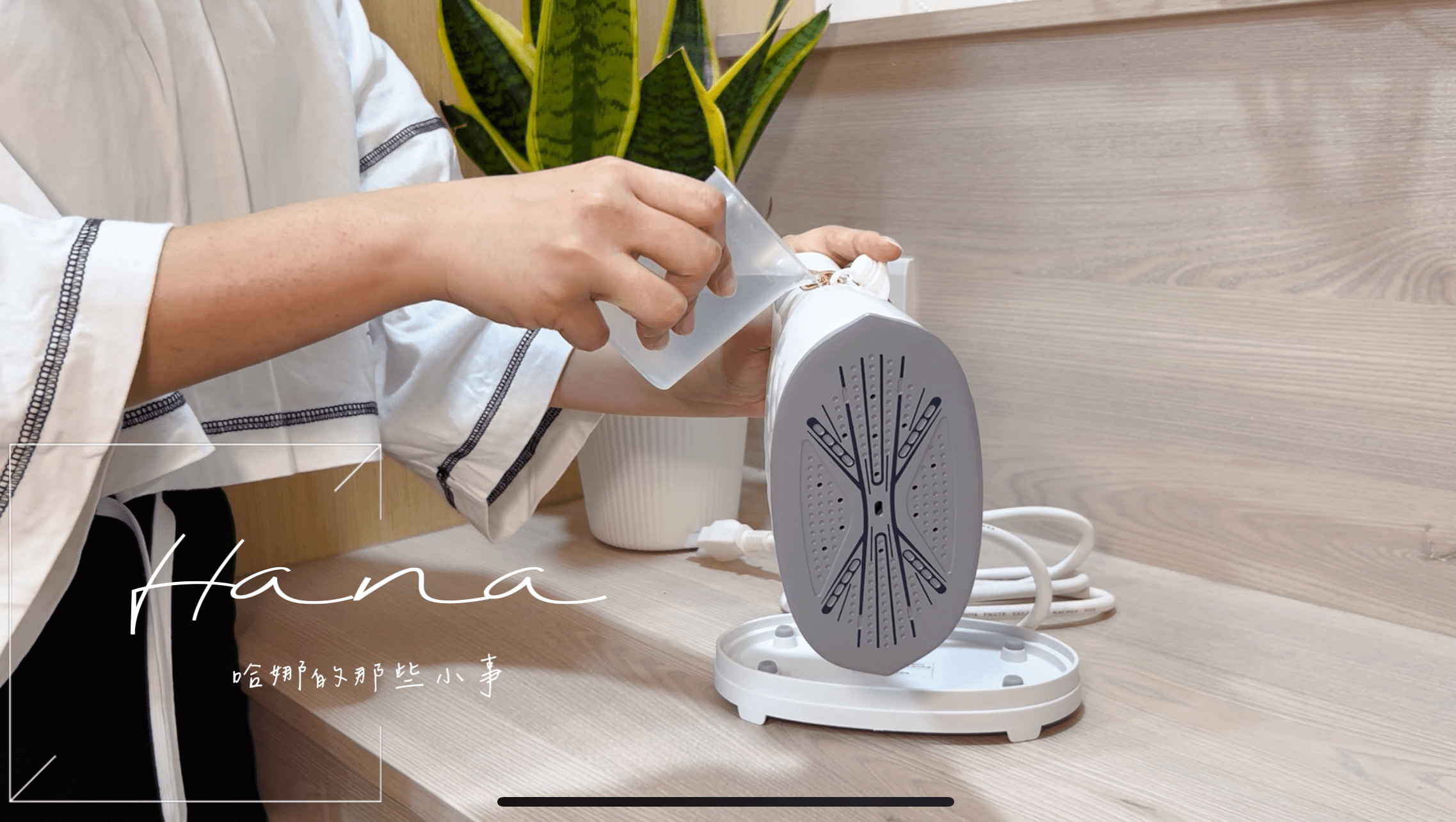 MSI-PQQ7 2 in1 蒸氣電熨斗