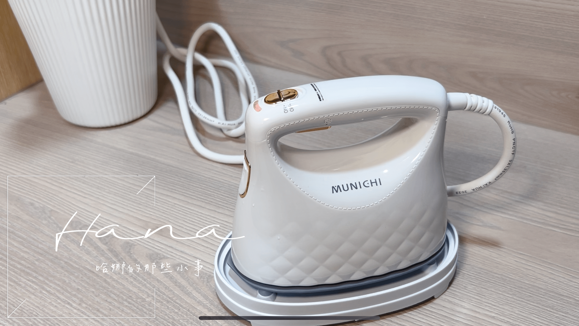 MSI-PQQ7 2 in1 蒸氣電熨斗