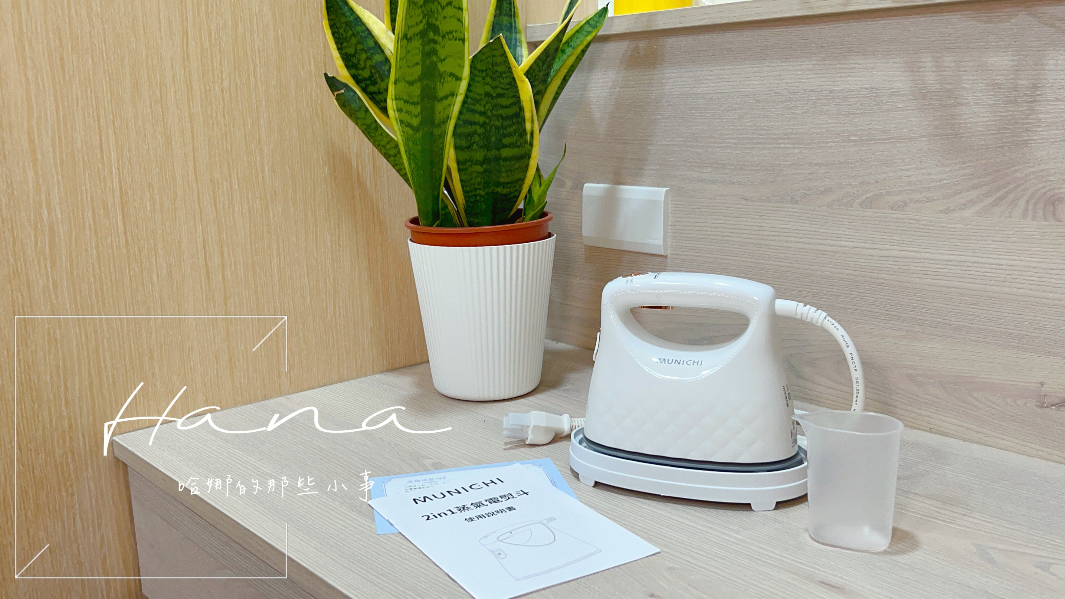 MSI-PQQ7 2 in1 蒸氣電熨斗