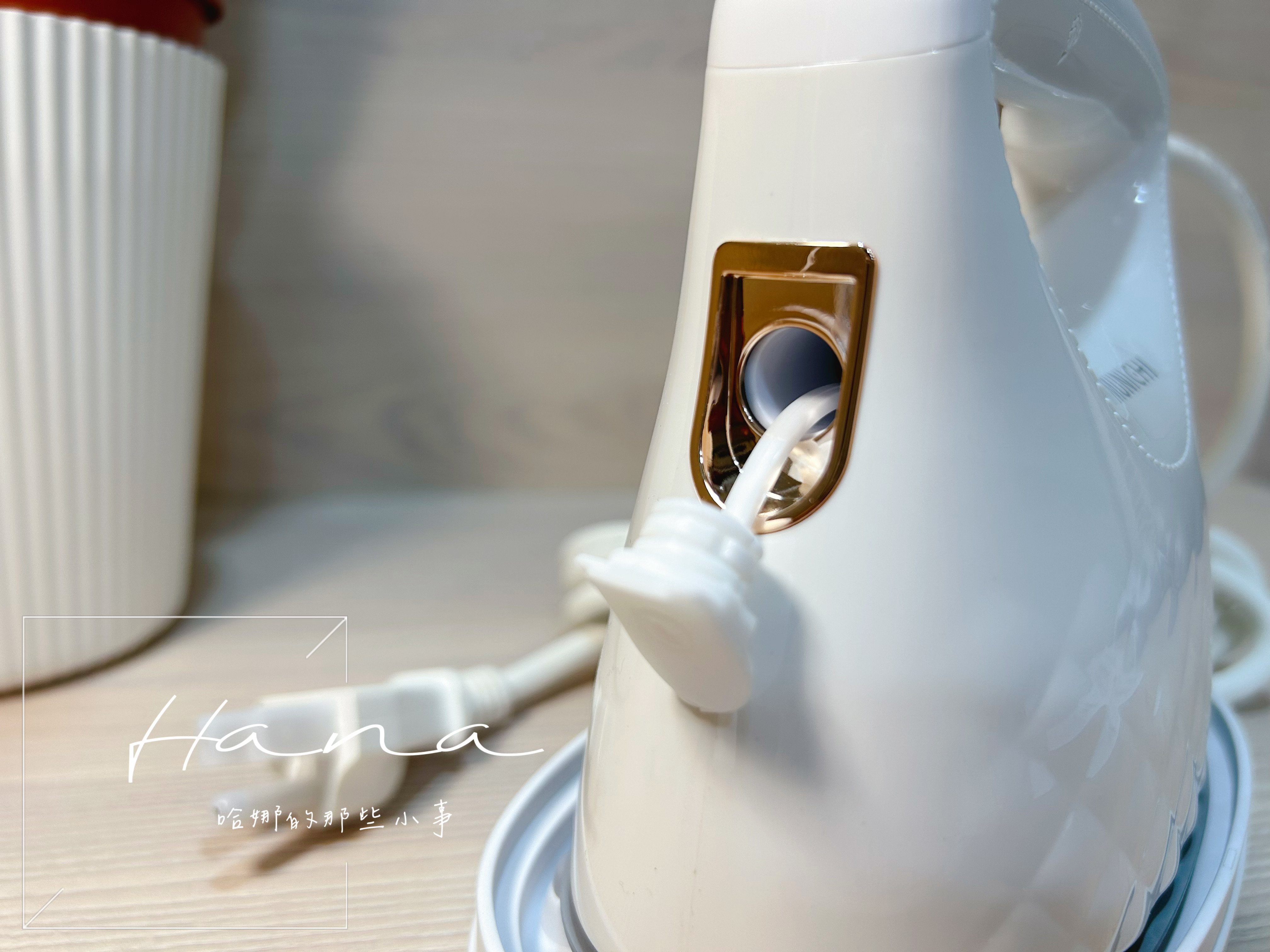 MSI-PQQ7 2 in1 蒸氣電熨斗