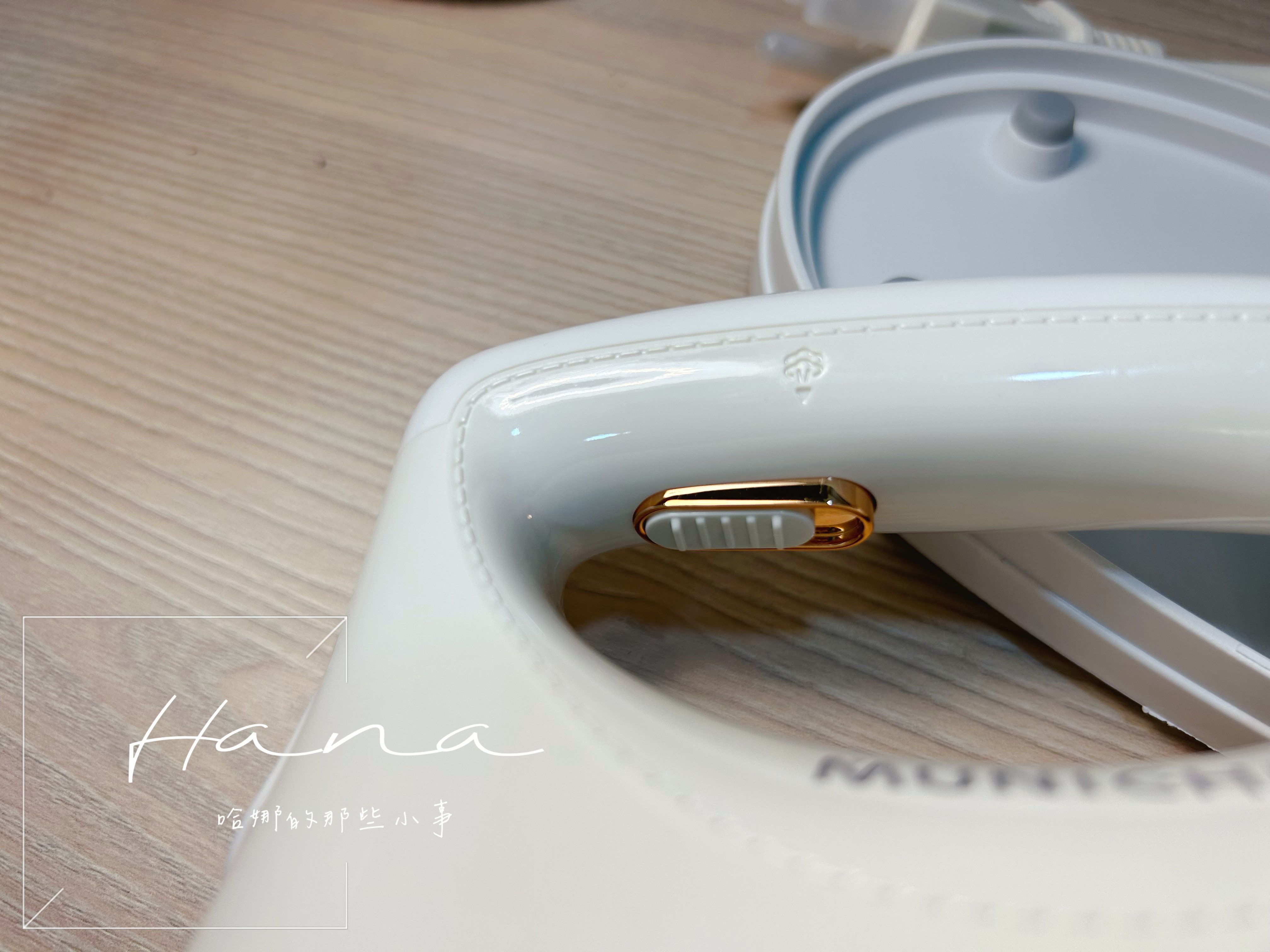 MSI-PQQ7 2 in1 蒸氣電熨斗